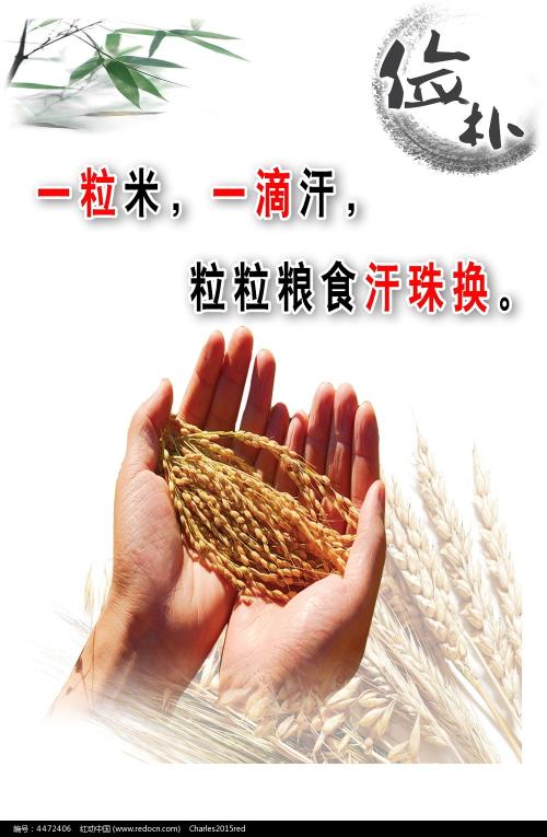 多米尼加学院文凭毕业证哪里有卖